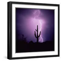 Cactus Silhouetted Against Lightning, Tucson, Arizona, USA-Tony Gervis-Framed Premium Photographic Print