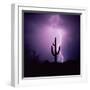 Cactus Silhouetted Against Lightning, Tucson, Arizona, USA-Tony Gervis-Framed Premium Photographic Print