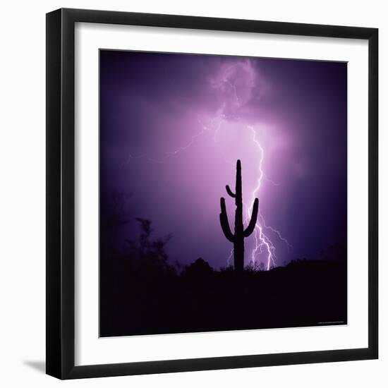 Cactus Silhouetted Against Lightning, Tucson, Arizona, USA-Tony Gervis-Framed Photographic Print