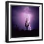 Cactus Silhouetted Against Lightning, Tucson, Arizona, USA-Tony Gervis-Framed Photographic Print