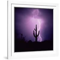 Cactus Silhouetted Against Lightning, Tucson, Arizona, USA-Tony Gervis-Framed Photographic Print