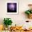 Cactus Silhouetted Against Lightning, Tucson, Arizona, USA-Tony Gervis-Framed Photographic Print displayed on a wall