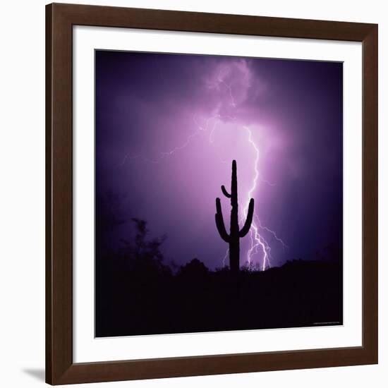 Cactus Silhouetted Against Lightning, Tucson, Arizona, USA-Tony Gervis-Framed Photographic Print