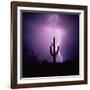 Cactus Silhouetted Against Lightning, Tucson, Arizona, USA-Tony Gervis-Framed Photographic Print