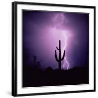 Cactus Silhouetted Against Lightning, Tucson, Arizona, USA-Tony Gervis-Framed Photographic Print