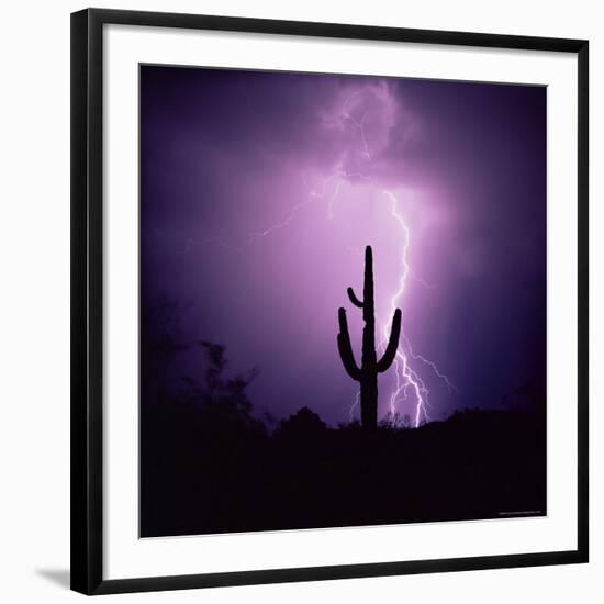 Cactus Silhouetted Against Lightning, Tucson, Arizona, USA-Tony Gervis-Framed Photographic Print