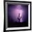 Cactus Silhouetted Against Lightning, Tucson, Arizona, USA-Tony Gervis-Framed Photographic Print