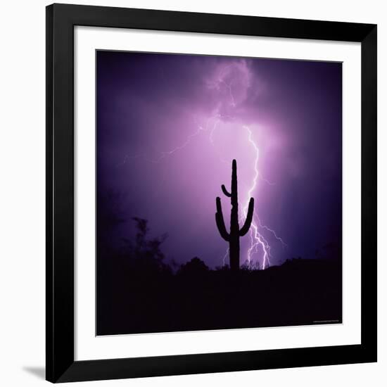 Cactus Silhouetted Against Lightning, Tucson, Arizona, USA-Tony Gervis-Framed Photographic Print