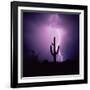 Cactus Silhouetted Against Lightning, Tucson, Arizona, USA-Tony Gervis-Framed Photographic Print