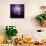 Cactus Silhouetted Against Lightning, Tucson, Arizona, USA-Tony Gervis-Mounted Photographic Print displayed on a wall