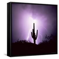 Cactus Silhouetted Against Lightning, Tucson, Arizona, USA-Tony Gervis-Framed Stretched Canvas