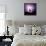 Cactus Silhouetted Against Lightning, Tucson, Arizona, USA-Tony Gervis-Framed Stretched Canvas displayed on a wall