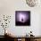 Cactus Silhouetted Against Lightning, Tucson, Arizona, USA-Tony Gervis-Framed Stretched Canvas displayed on a wall