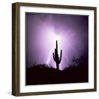 Cactus Silhouetted Against Lightning, Tucson, Arizona, USA-Tony Gervis-Framed Photographic Print