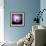 Cactus Silhouetted Against Lightning, Tucson, Arizona, USA-Tony Gervis-Framed Photographic Print displayed on a wall