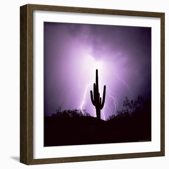 Cactus Silhouetted Against Lightning, Tucson, Arizona, USA-Tony Gervis-Framed Photographic Print