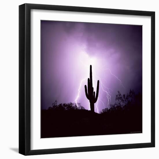 Cactus Silhouetted Against Lightning, Tucson, Arizona, USA-Tony Gervis-Framed Photographic Print