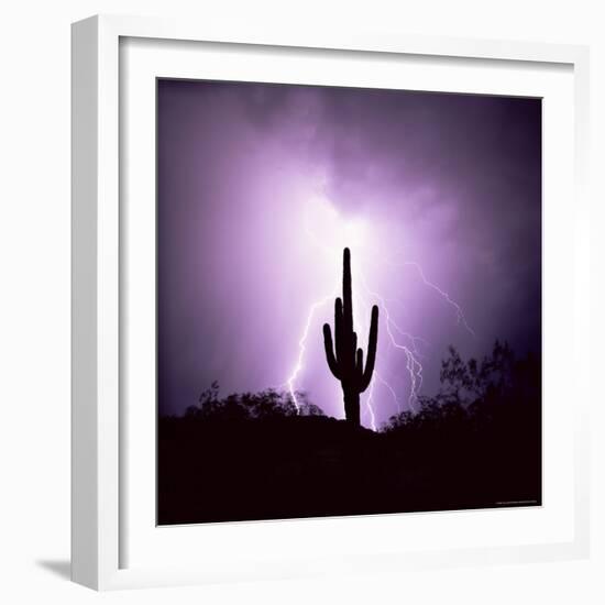 Cactus Silhouetted Against Lightning, Tucson, Arizona, USA-Tony Gervis-Framed Photographic Print