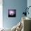 Cactus Silhouetted Against Lightning, Tucson, Arizona, USA-Tony Gervis-Mounted Photographic Print displayed on a wall