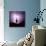 Cactus Silhouetted Against Lightning, Tucson, Arizona, USA-Tony Gervis-Photographic Print displayed on a wall