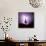 Cactus Silhouetted Against Lightning, Tucson, Arizona, USA-Tony Gervis-Photographic Print displayed on a wall