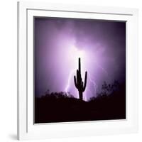 Cactus Silhouetted Against Lightning, Tucson, Arizona, USA-Tony Gervis-Framed Photographic Print