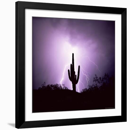 Cactus Silhouetted Against Lightning, Tucson, Arizona, USA-Tony Gervis-Framed Photographic Print