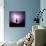 Cactus Silhouetted Against Lightning, Tucson, Arizona, USA-Tony Gervis-Mounted Photographic Print displayed on a wall