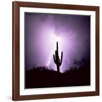 Cactus Silhouetted Against Lightning, Tucson, Arizona, USA-Tony Gervis-Framed Photographic Print