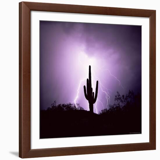 Cactus Silhouetted Against Lightning, Tucson, Arizona, USA-Tony Gervis-Framed Photographic Print