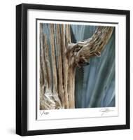 Cactus Skeleton-Ken Bremer-Framed Limited Edition