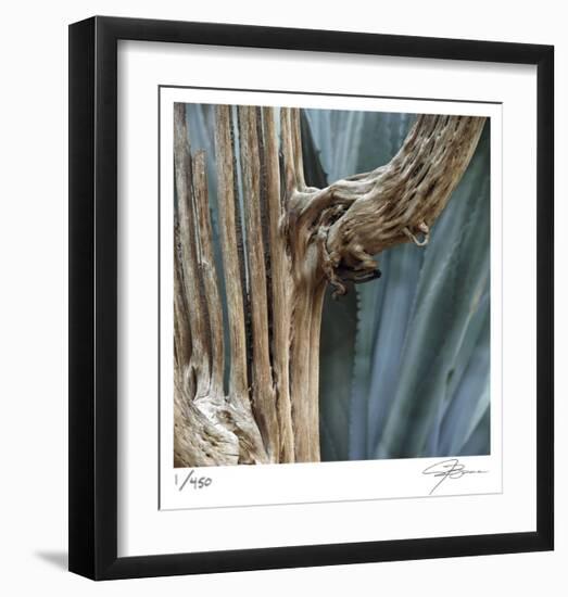 Cactus Skeleton-Ken Bremer-Framed Limited Edition