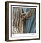 Cactus Skeleton-Ken Bremer-Framed Limited Edition