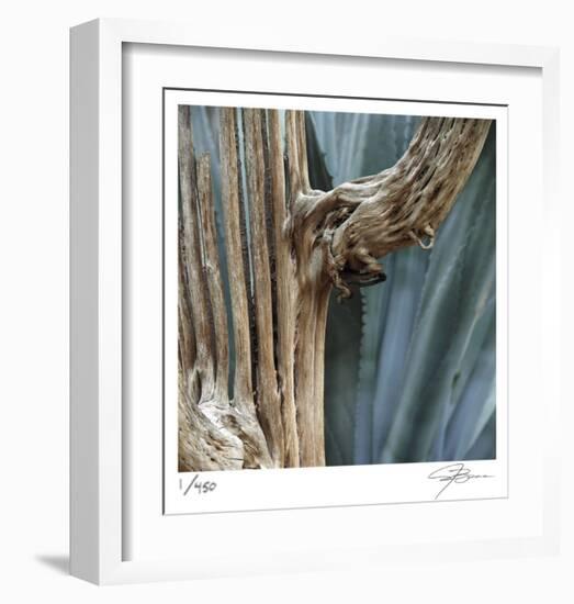 Cactus Skeleton-Ken Bremer-Framed Limited Edition