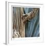 Cactus Skeleton-Ken Bremer-Framed Limited Edition