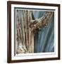 Cactus Skeleton-Ken Bremer-Framed Limited Edition