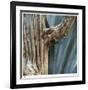Cactus Skeleton-Ken Bremer-Framed Limited Edition