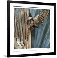 Cactus Skeleton-Ken Bremer-Framed Limited Edition