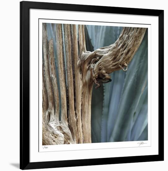 Cactus Skeleton-Ken Bremer-Framed Limited Edition