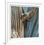 Cactus Skeleton-Ken Bremer-Framed Limited Edition