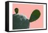 Cactus Slice 1-Sheldon Lewis-Framed Stretched Canvas