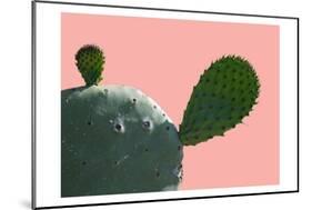 Cactus Slice 1-Sheldon Lewis-Mounted Art Print