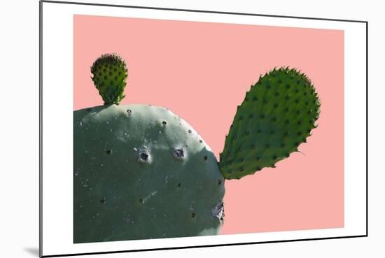 Cactus Slice 1-Sheldon Lewis-Mounted Art Print