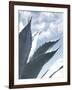 Cactus Sonoma-Malcolm Sanders-Framed Giclee Print