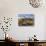 Cactus, Sonoran Desert, Organ Pipe Cactus National Park, Arizona, USA-Massimo Borchi-Photographic Print displayed on a wall