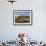 Cactus, Sonoran Desert, Organ Pipe Cactus National Park, Arizona, USA-Massimo Borchi-Framed Photographic Print displayed on a wall