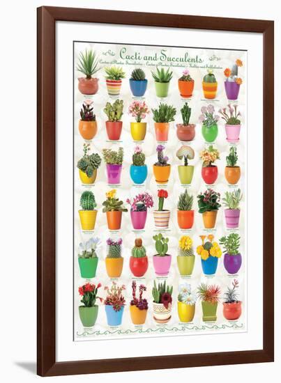 Cactus & Succulents-null-Framed Art Print