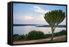 Cactus Tree Above the Kazinga Channel Linking Lake George and Lake Edward at Sunset-Michael-Framed Stretched Canvas