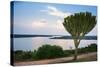 Cactus Tree Above the Kazinga Channel Linking Lake George and Lake Edward at Sunset-Michael-Stretched Canvas