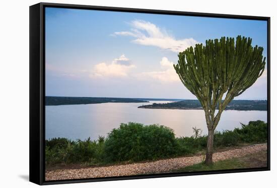 Cactus Tree Above the Kazinga Channel Linking Lake George and Lake Edward at Sunset-Michael-Framed Stretched Canvas